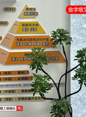 专业知识面诊美容店必备墙贴