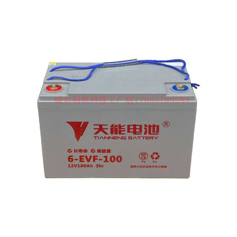 电瓶12V100A 丽驰 比德文 御捷电动四轮铅酸蓄电池6evf100*