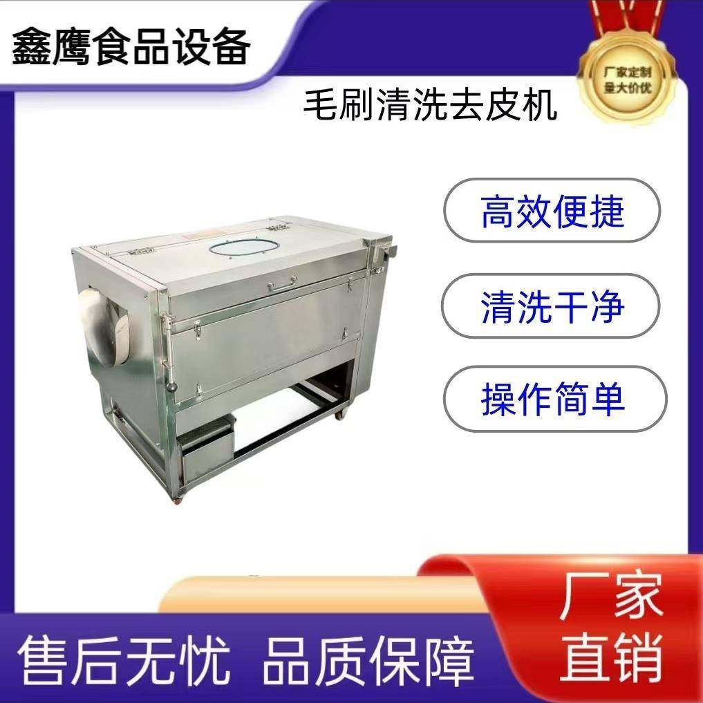 毛刷清洗机根茎类果蔬去皮机毛刷清洗去皮机洗姜机莲藕清洗去泥土