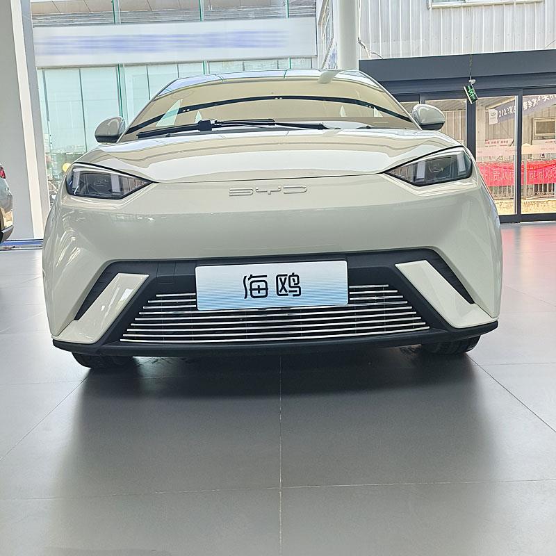 比亚迪海鸥改装件防虫网专用装饰金属中网前脸防撞条护板亮条配件