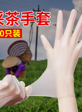 薄款春夏季采茶叶工具神器