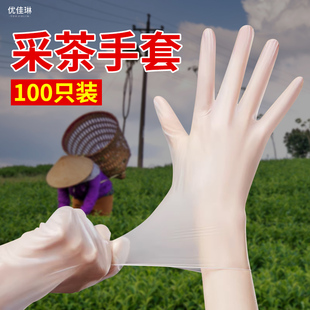 采茶手套一次性专用防晒摘茶叶防护透气薄款春夏季采茶叶工具神器