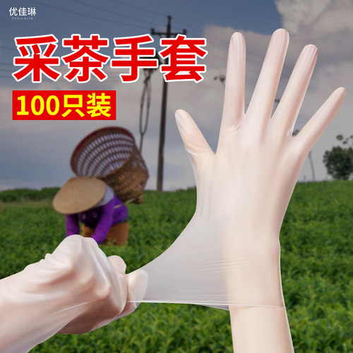 薄款春夏季采茶叶工具神器