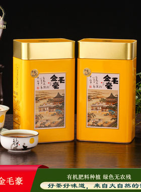 头春金毛豪头采一芽一叶