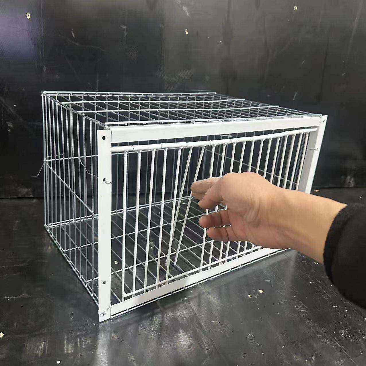 只进不出鸟笼全自动天落笼子撞门户外抓收的鸽子笼捕加密可连续用