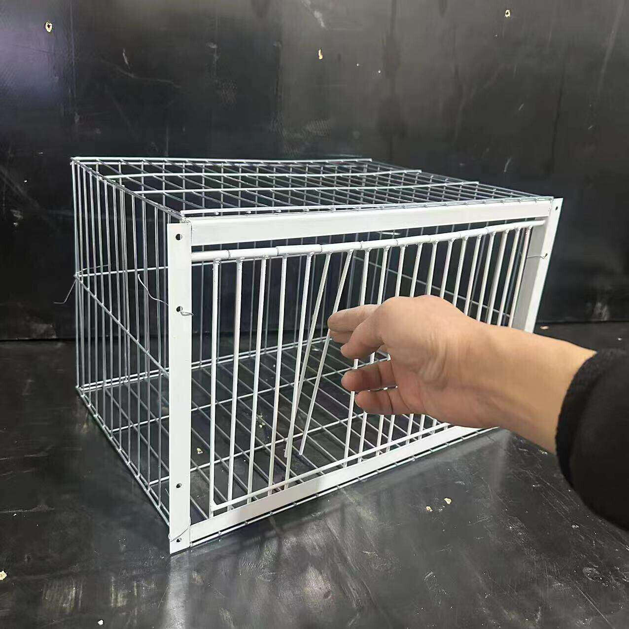 只进不出鸟笼全自动天落笼子撞门户外抓收的鸽子笼捕加密可连续用