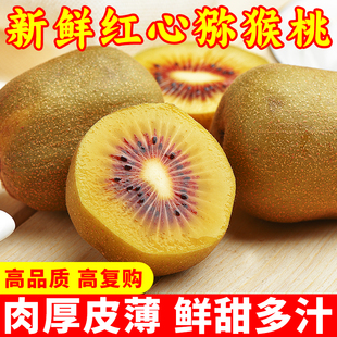 四川蒲江红心猕猴桃新鲜整箱孕妇水果当季苍溪蒲江奇异果猕猴桃