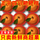 包邮 四川春见耙耙柑粑粑柑正宗水果新鲜整箱当季 丑桔橘新鲜10斤