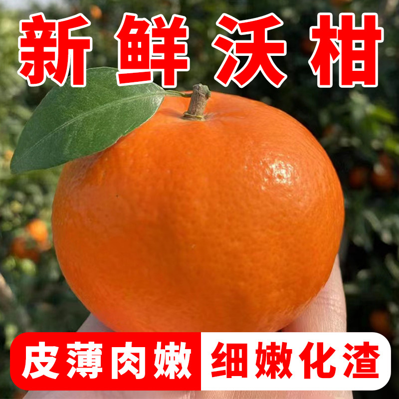 沃柑正宗广西沃柑10斤当季新鲜水果原产地直发店现摘新鲜沃柑桔子,水产肉类/新鲜蔬果/熟食,桔子,淘宝优惠券,粉丝福利购,淘宝优惠卷