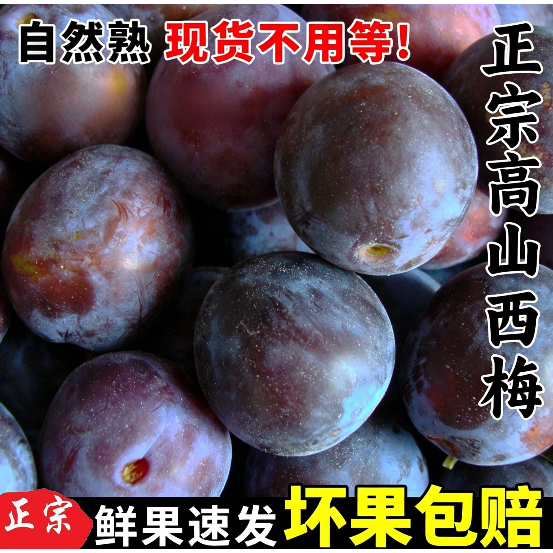 新鲜西梅水果高级大果李子整箱孕妇应季当季生鲜西梅李子鲜果