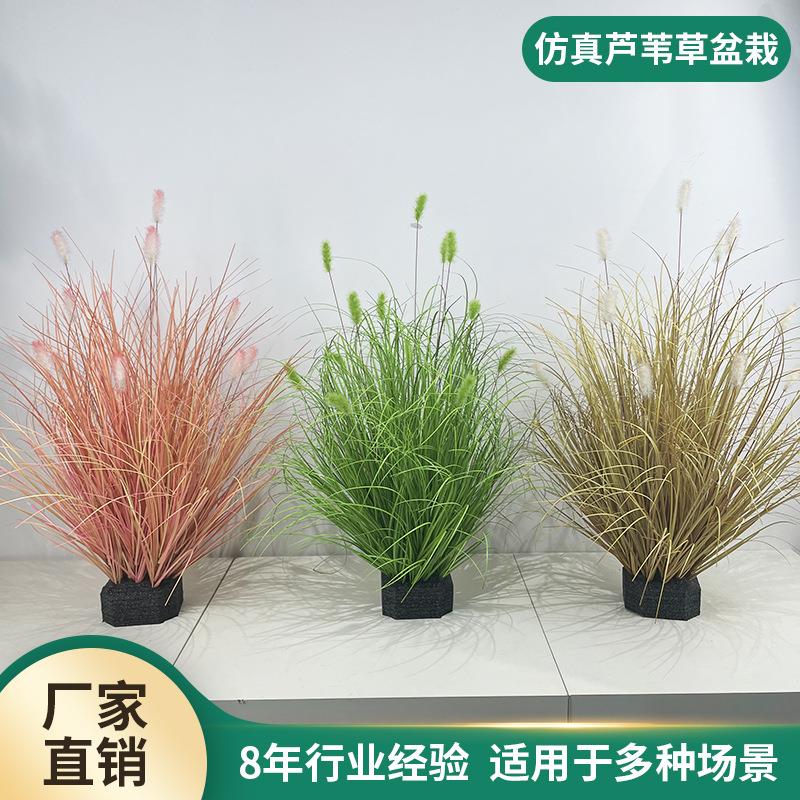 毛毛虫草堆仿真芦苇草植物橱窗落地装饰狗尾巴草洋葱草绿植盆栽