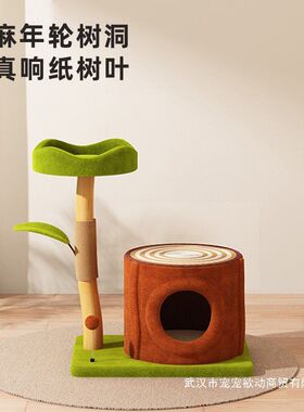 猫爬架天然果木剑麻小型猫窝猫树实木一体家用树洞窝不占地四季