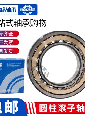 瓦房店国产品质圆柱滚子轴承N230 232 234 236 23M8 240 244 248E
