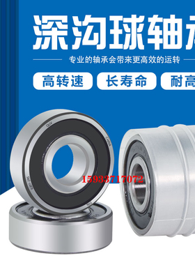 耐高温高速电c机轴承6415 6416 6417 6418 6422 6420-2RS ZZ精品P