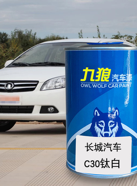 九狼汽车漆长成品城漆原厂漆4S店钛白C20R星光银枫丹红CZ30瀚海蓝