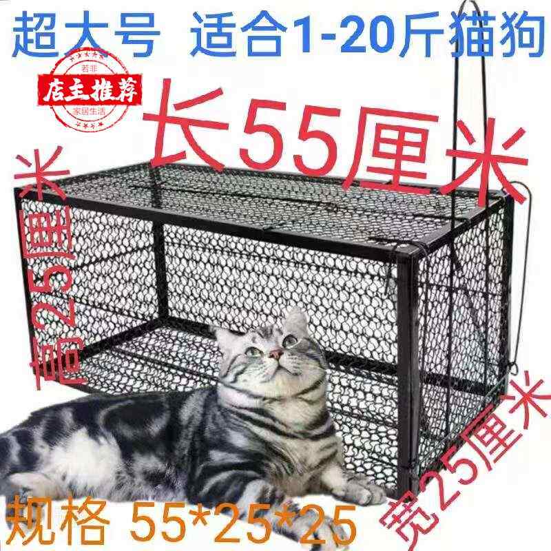 1 고양이 잡기 유물 마우스 클램프 대형 철 케이지 초대형 고양이 잡기 도구 완전 자동 마우스 케이지 대형 마우스