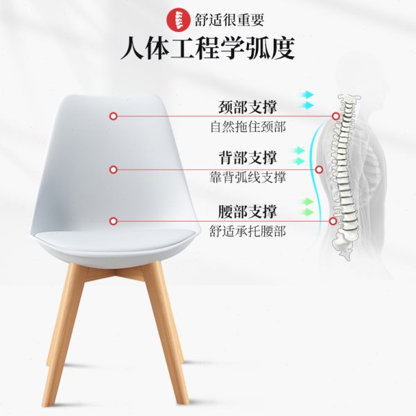 伊姆斯椅餐椅家用网红电脑桌椅塑料靠背椅现代简约实木办公洽谈椅
