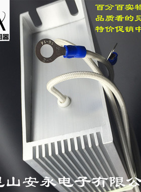 RXLG梯形铝壳制动刹车负载老化电阻50W100W200W300W500W1000W现货
