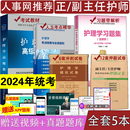 2024年护理学副主任护师考试书副高正高职称高级卫生专业技术资格考试指导教材用书高级教程进阶习题集模拟卷 副高护理学教材人卫版