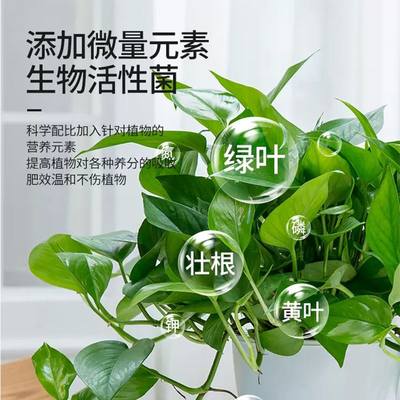 营养液植物通用型发财树富贵竹水培盆栽家用绿植花卉养花肥料发黄