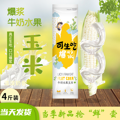 漳州爆浆冰糖牛奶水果玉米生吃棒子新鲜即食金银甜嫩糯代餐食现摘