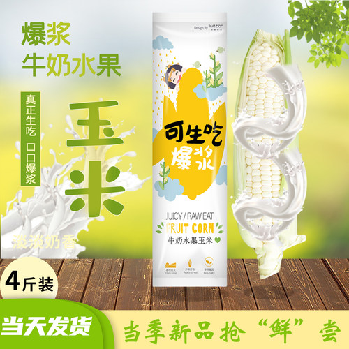 漳州爆浆牛奶玉米即食水果冰糖白色玉米当季新鲜可以生吃棒子现摘