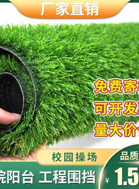 人造仿真塑料假草坪地毯室内人工绿色阳台庭院户外幼儿园草皮装饰