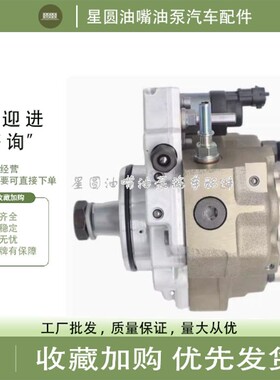 适用于上汽菲亚特红岩0445020175/0445020007博士CP3共轨高压油泵