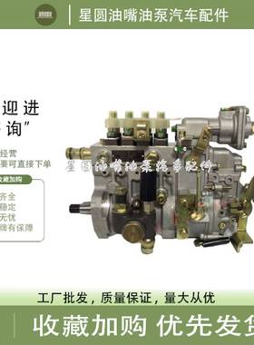 原厂南岳衡阳喷油泵B4PM221Q云内4102发动机高压油泵总成HA110029