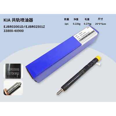 EJBR03001D共轨喷油器EJBR02501Z适用于KAI车型33800-4X900喷油嘴