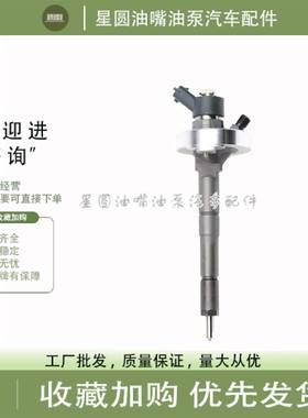 适用于东风尼桑ZD30喷油器油嘴0445110877/0445110315/0445110284