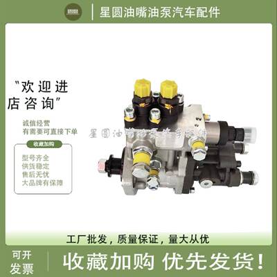 原厂重汽电喷油泵CB2E916A适配云内4102国三发动机YN38CR-110002