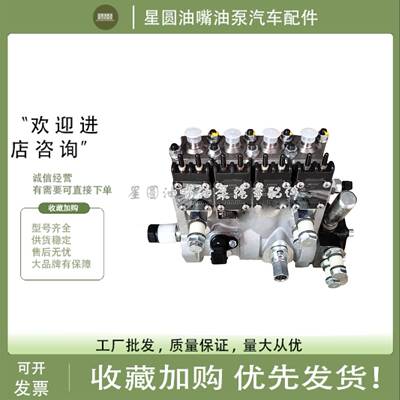 原厂龙口龙泵电控组合泵D006柴油泵4G33TC-181000X常柴收割拖拉机