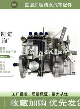 山东康达油泵4Q339D1 4Q348新柴扬常柴490发电机组柴油泵BH4Q85R8