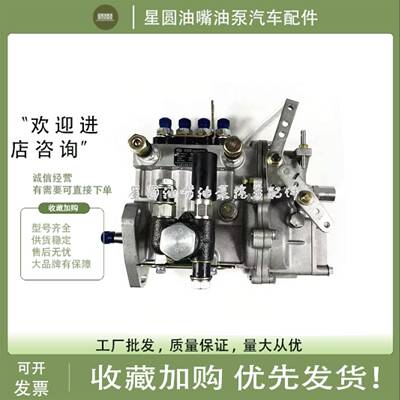 山东康达喷油泵4QTF162/4QTF161/BH4PM95R11适用于云内4102柴油泵