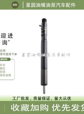 原装喷油器A6640170121喷油器总成4501D EJBR04501D配双龙