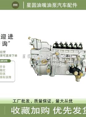 龙口龙泵BP5C10/BP20C6/BP5717上柴D6114工程机械装载机高压油泵