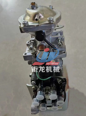 洋马引擎高压分配油泵总成119775-51920柴油泵19600W0-57109