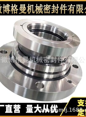 SHP11机械密封 L前置泵机械密封