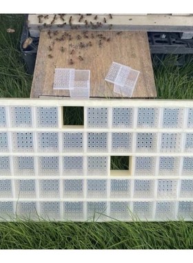 2022 New Multifunctional PlastBic Queen Bee Storage Device B