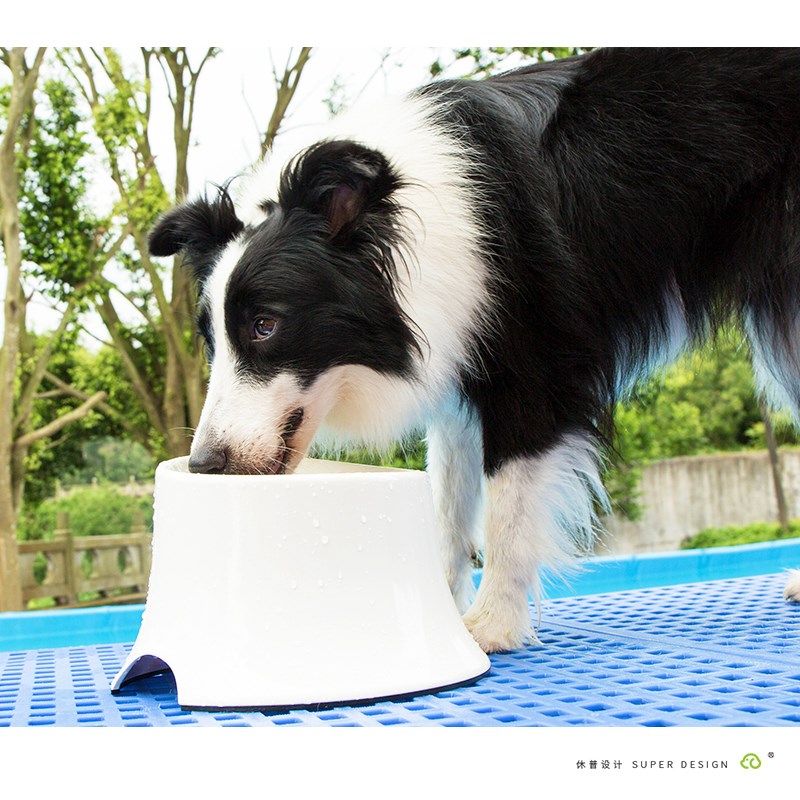 休普食盆狗盆狗碗宠物碗狗狗饭盆保护K颈椎防打翻中型大型犬高