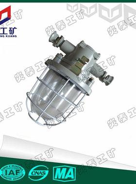 DGS60/127B矿用隔爆信号灯60W防爆白炽灯127V红色矿用白炽灯