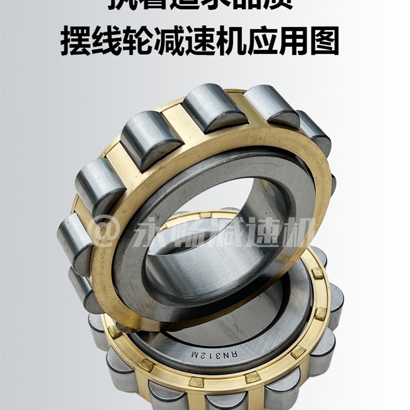 常州摆线针轮减速机配件大全摆片输入出轴偏心针销套机座摆轮轴承