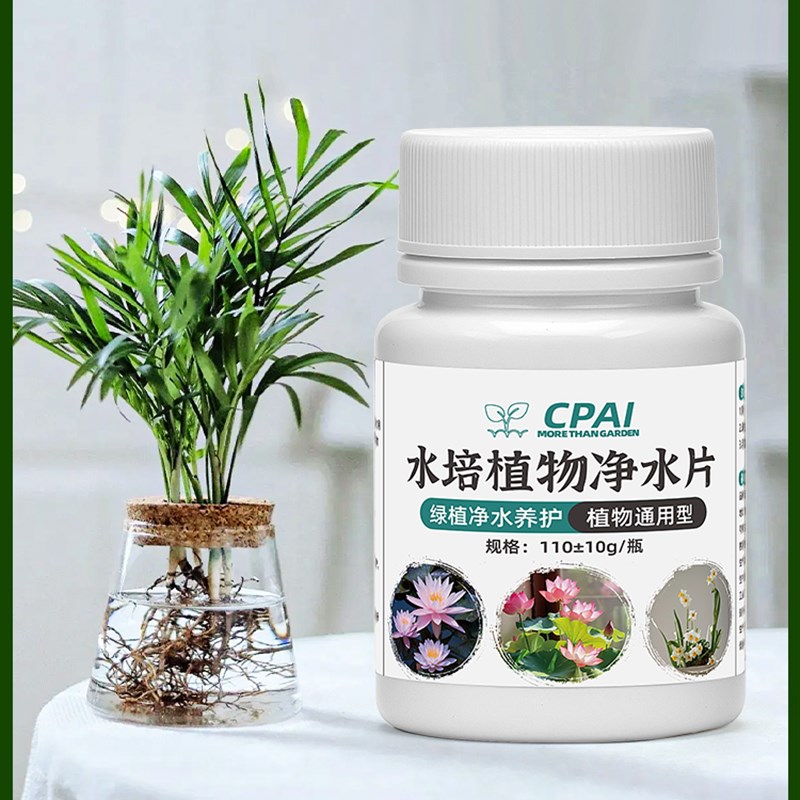 水培植物c净水片碗莲睡莲除臭剂净化水质催芽开花水培不臭水