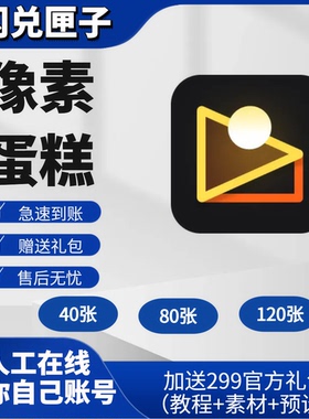 【充值你号】像素蛋糕40张80张120张导出张数充值AI修图智能修图
