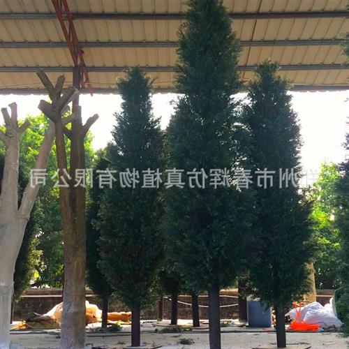 仿真松柏树户外园林绿化工程装饰仿真树定制各种仿真小柏树盆栽图片