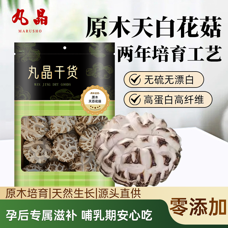 白花菇出口品质原木生长2年培育