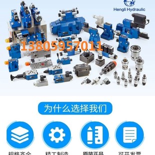 CW220Z5L 上海立新SHLIXIN电磁换向阀3 CHG24NZ5L L3X L30 4WE10Q