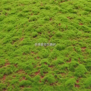 仿真青苔草皮 苔藓仿p真绿植人造草皮装饰仿真青苔石头绿色植物