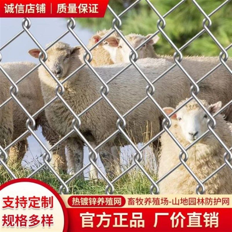镀锌铁丝网围栏养牛羊猪狗钢丝y网拦鸡鸭勾花网果园鱼塘防护隔离,五金/工具,护栏/隔离栏,淘宝优惠券,粉丝福利购,淘宝优惠卷
